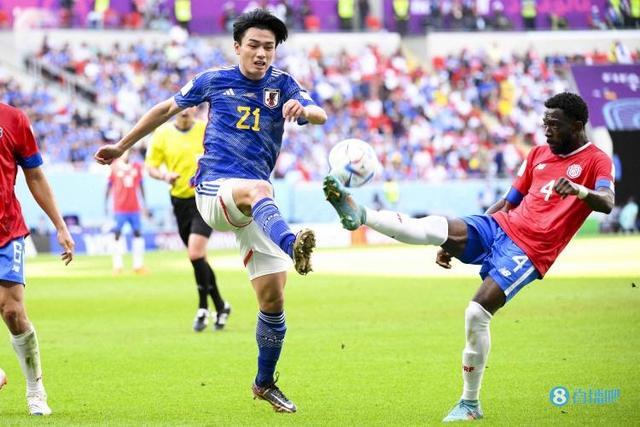 他们的晋级 他们的晋级