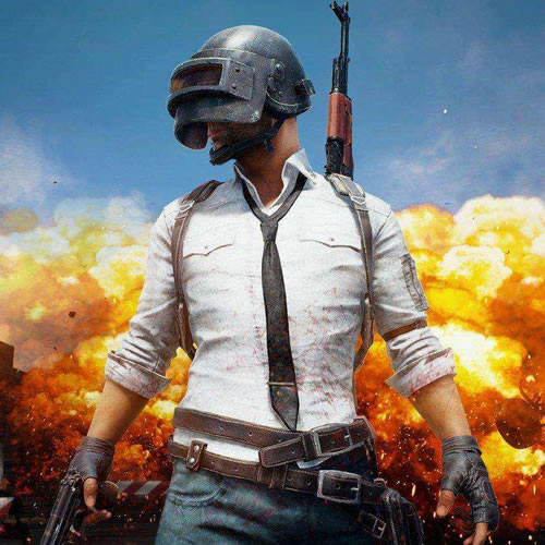 不仅展现出 不仅展现出