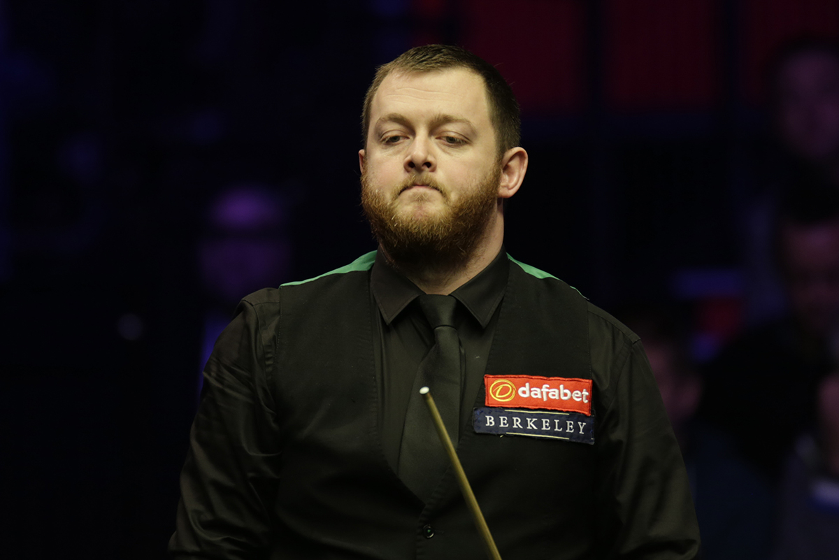 不仅提供了 不仅提供了