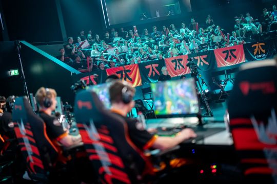 哈曼指出 哈曼指出